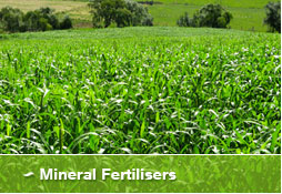 Mineral Fertilisers