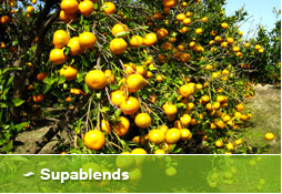 Supablends - Liquid Fertilisers